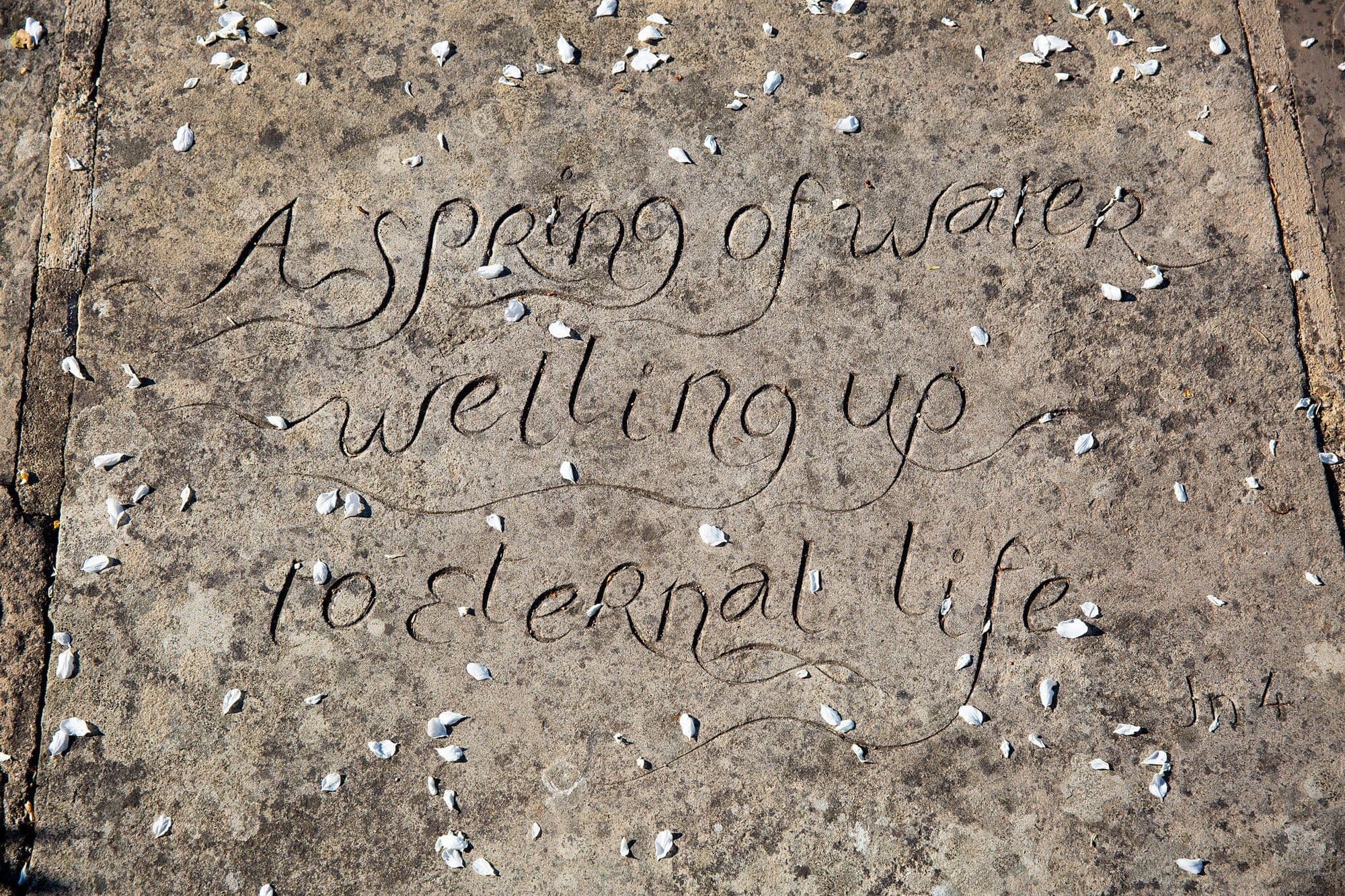 A spring of water welling up to eternal life